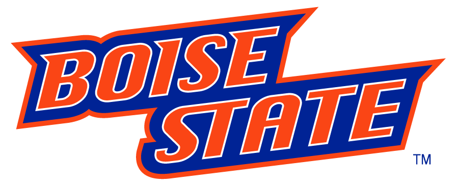 Boise State Broncos 2002-2012 Wordmark Logo DIY iron on transfer (heat transfer)